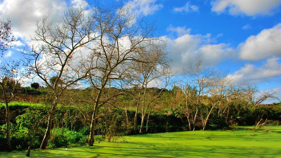 Nature Highlights Private Walking Tour With Transport - Booking and Cancellation Policy