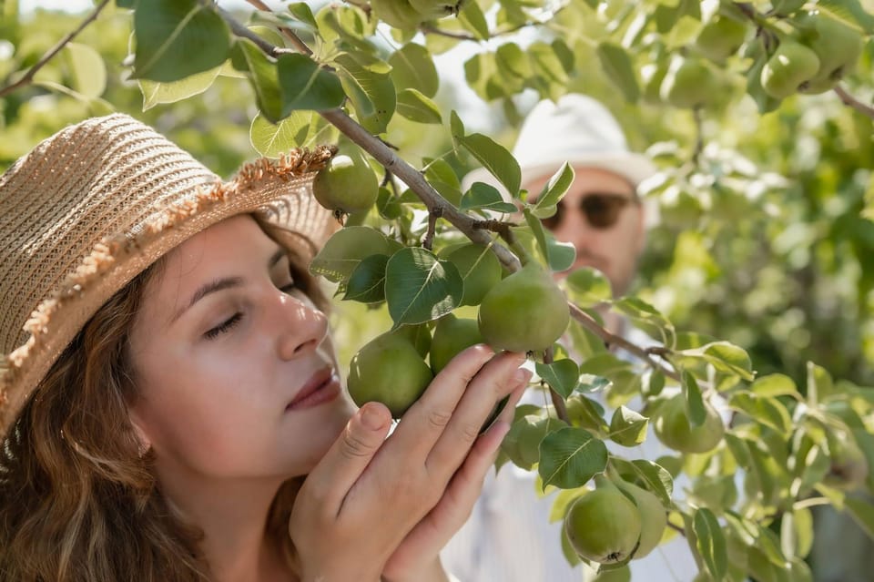 Naxos: Cooking Experience Near Kouros, Tour and Live Music - Traditional Music and Dance