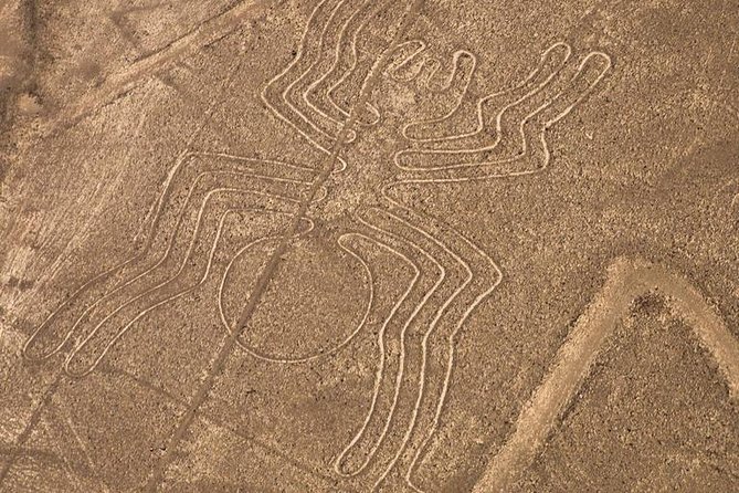 Nazca Lines From Nazca Airport - Traveler Feedback and Recommendations