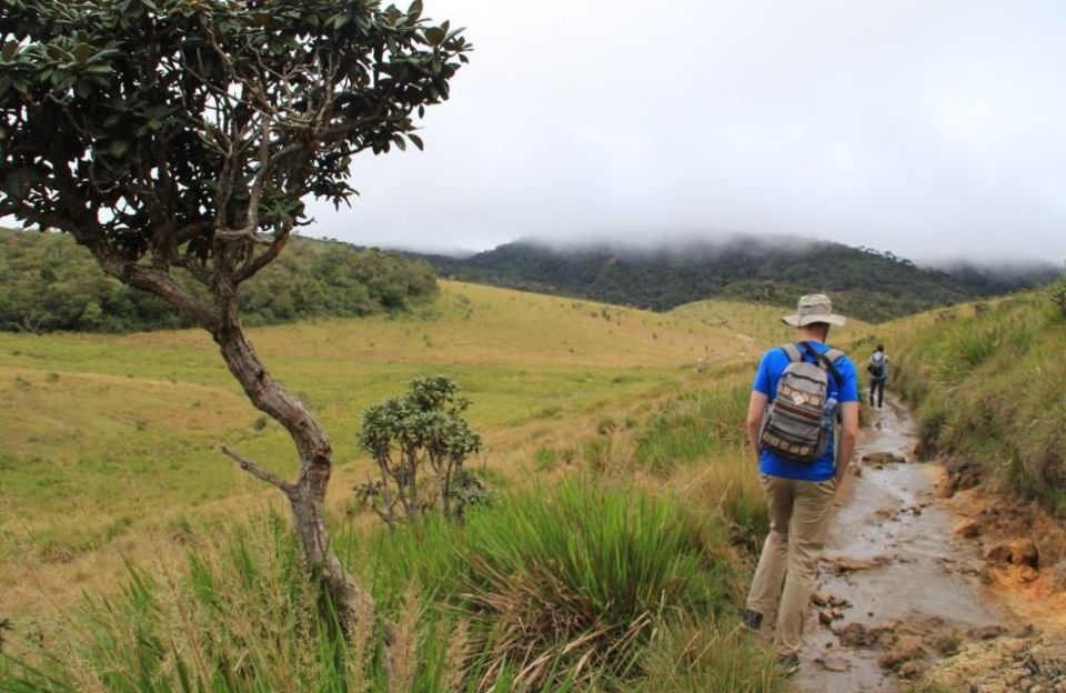 Nuawara Eliya: Horton Plains and Tea All-Inclusive Tour - Frequently Asked Questions