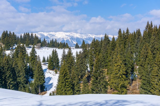One Day Tour to Bran Castle and Hiking in Piatra Craiului National Park - Pricing and Cancellation Policy