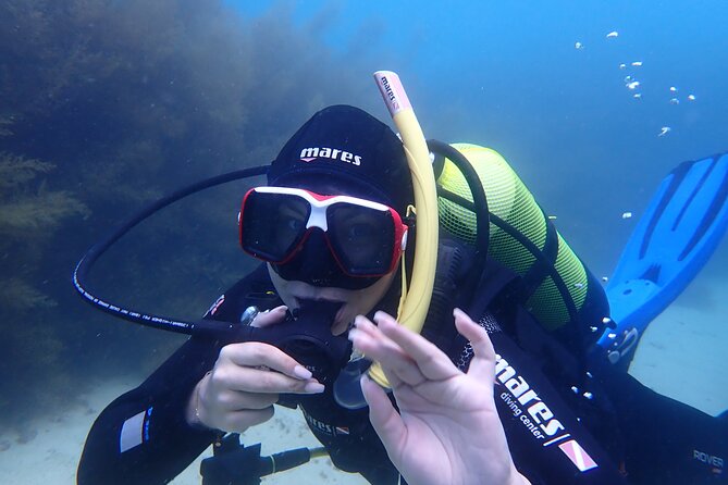 Open Water Diver Course in Arrabida Natural Park (Near Lisbon) - Booking and Cancellation Policy