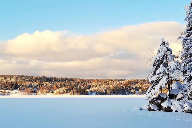 Oslo: Scenic Hike and Norwegian Waffles With Local Guide & Dog - Good To Know