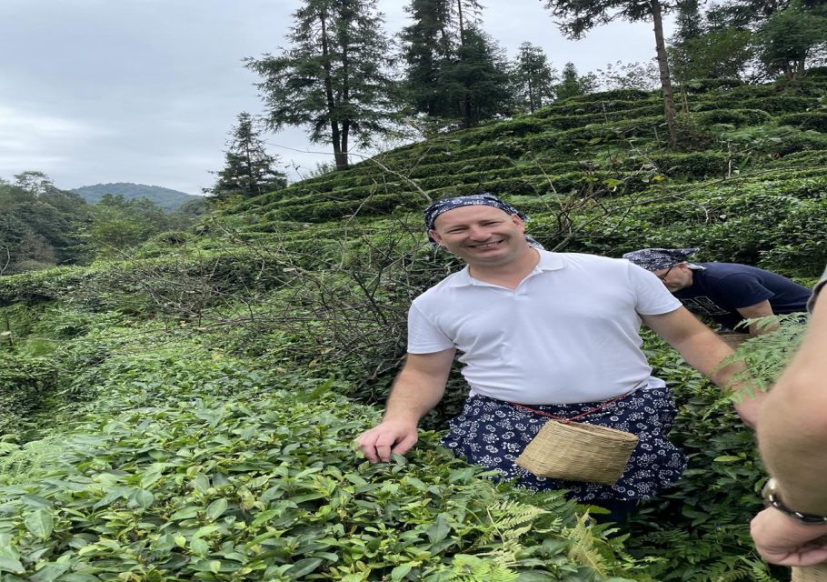 Panda and Green Tea Making Tour - Tea Plantation Experience