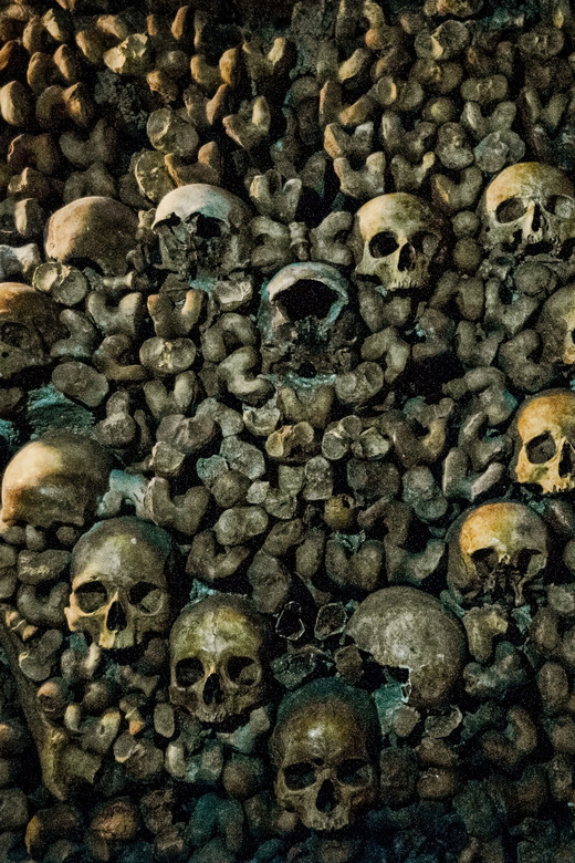 Paris: Catacombs Guided Tour - Booking and Reservations