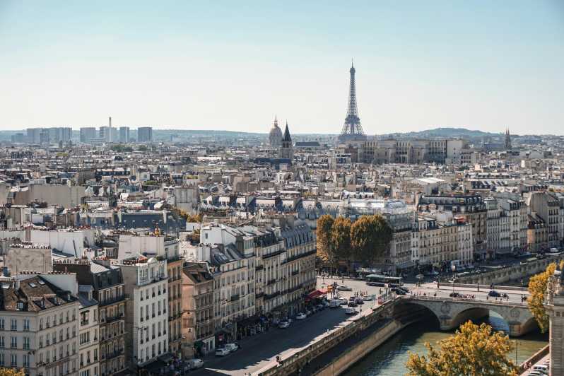 Parisian Promenade: Exclusive Private Walking Tour - Île De La Cité and Notre-Dame Cathedral