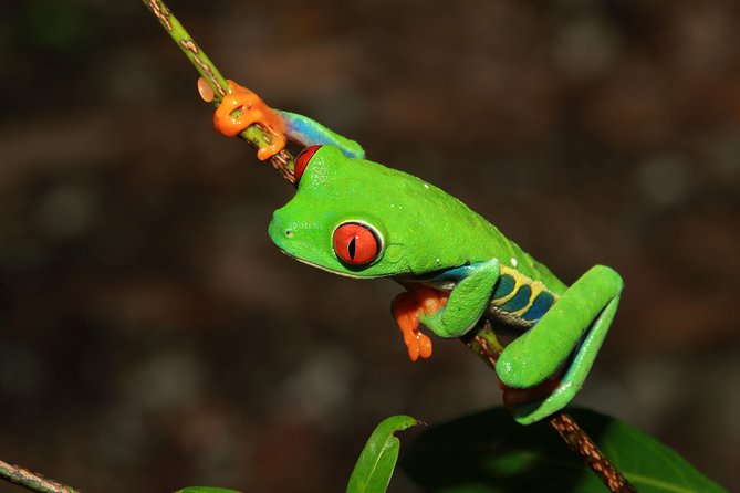 Photography Tour at Natura Eco Park - Cancellation Policy