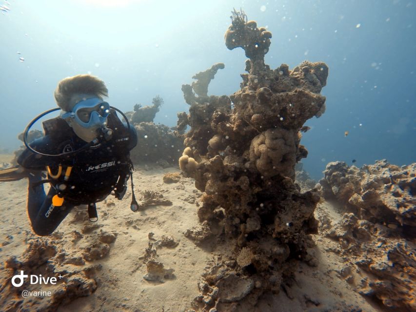 Pivate Scuba Diving in the Red Sea of Aqaba - Booking and Cancellation Policy