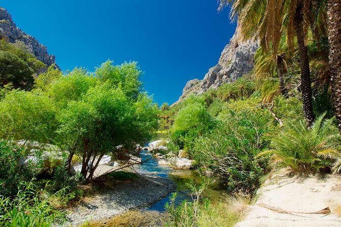 Preveli Palm Beach Boat Cruise & Rethymnon Town From Heraklion - Flexibility and Convenience