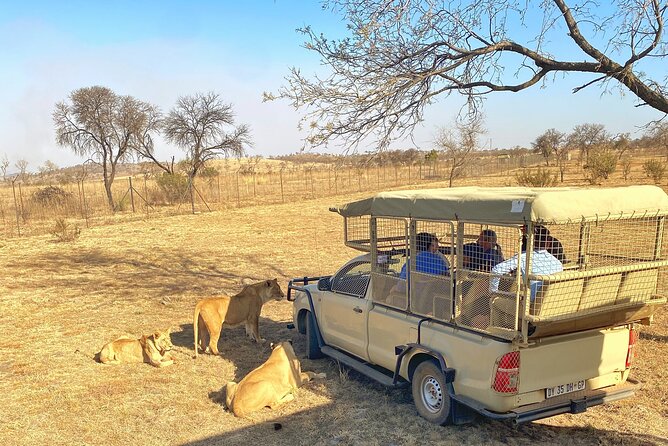 Private 5-Hour Lion Park Tour From Johannesburg or Pretoria - Why Choose This Tour
