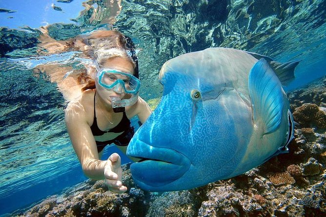 Private Boat Snorkeling Trip And Lunch Up To 10 Pax From Hurghada - Contact and Operator Information