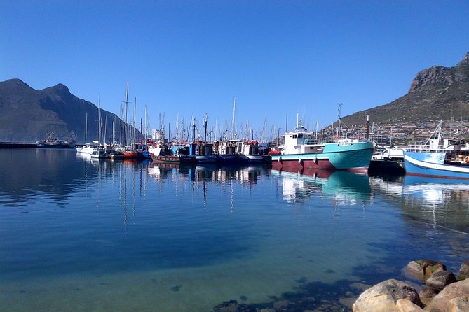 Private Cape Peninsula + Kirstenbosch Garden Full Day Guided Tour - Accessibility Features
