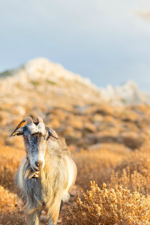 Private Crete Far West Tour With Hiking, History & Beaches - Cooking Class and Wine Tasting