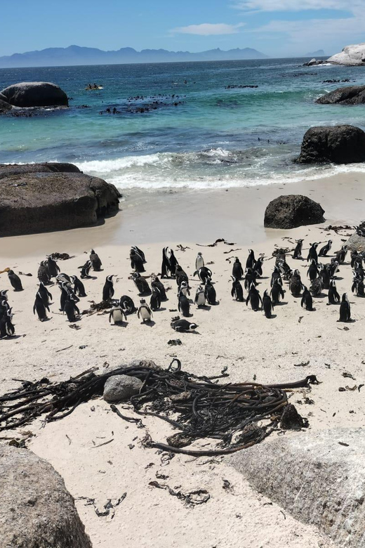 Private Day Tour Cape Point, Cape Of Good Hope & Penguins - Frequently Asked Questions