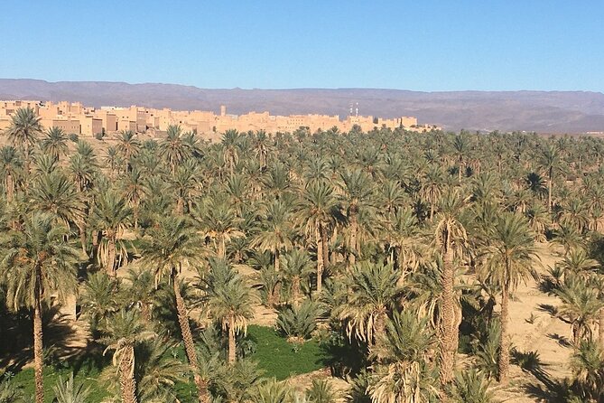 Private Excursion From Ouarzazate to Gorges Dades, Valley of Roses and Skoura - Booking Process