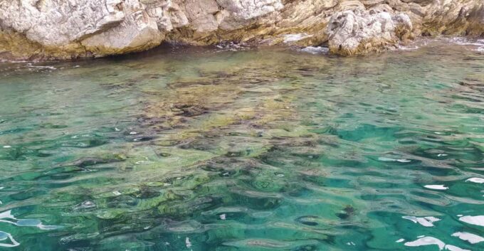 Private Fishing Trip - Explore Prime Spots