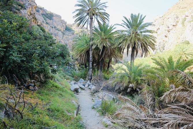 Private Full-Day Adventure: Preveli, Waterfalls & Kalypso Beach - Personalized Service and Guides
