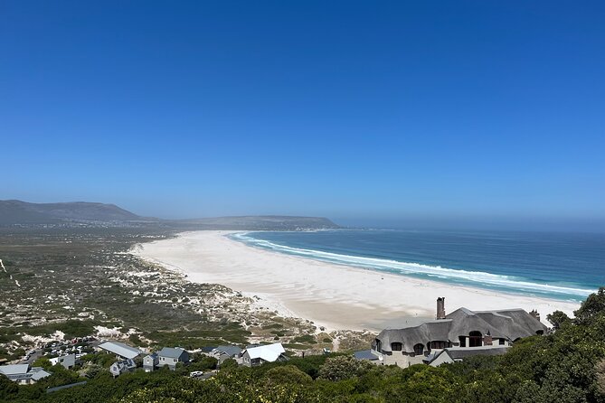 Private Guided Tour in Cape of Good Hope and Table Mountain - Why Choose a Private Tour