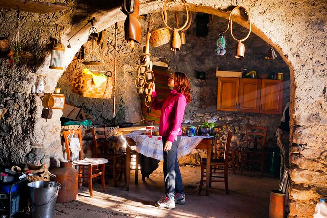 Private Guided Tour to the Path of the Gods - Half Day - Knowledgeable Tour Guides