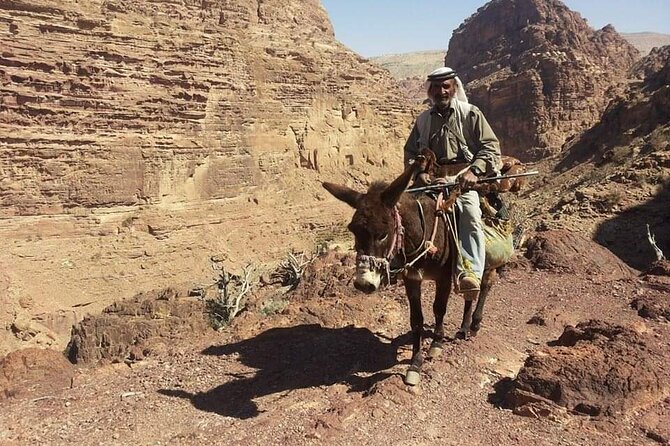 Private Half-Day Tour of Petra With Lunch - Customer Reviews and Feedback