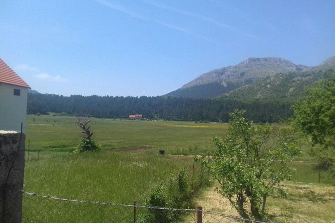 Private National Park Lovcen With Food and Wine Tasting - Pricing and Group Discounts