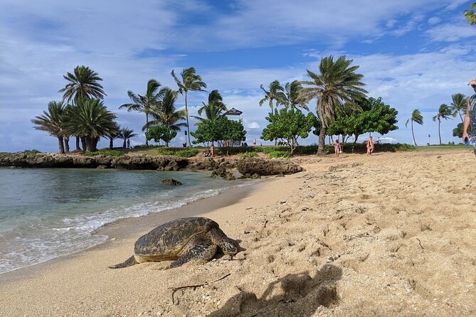 Private Oahu Circle Island Tour - Sum Up