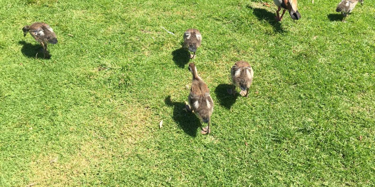 Private Quad Biking & Kirstenbosch Botanical Garden Day Tour - Frequently Asked Questions