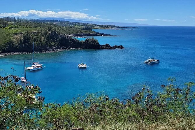 Private Rocky Coast Excursion Jeep Tour in Maui Island - Tips for a Great Experience