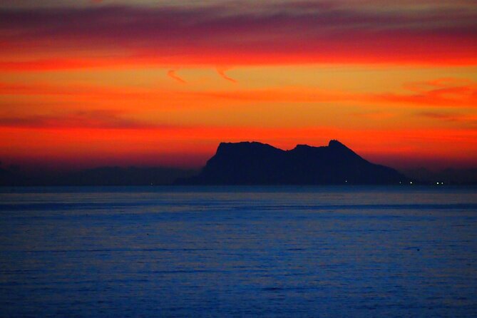 Private Sailing - Dolphin Experience From Estepona - Drink & Food - Sailing Course and Activities