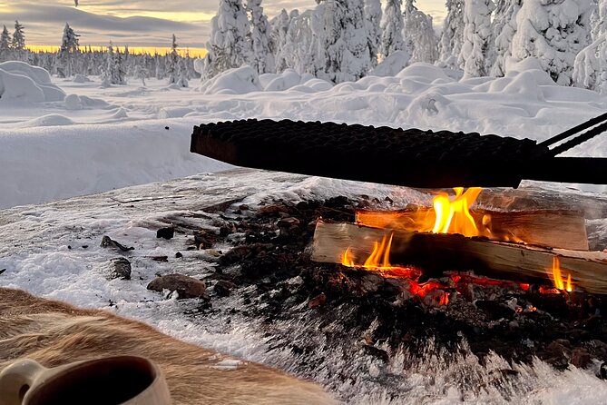 Private Snowmobile Day Tours - Customer Reviews