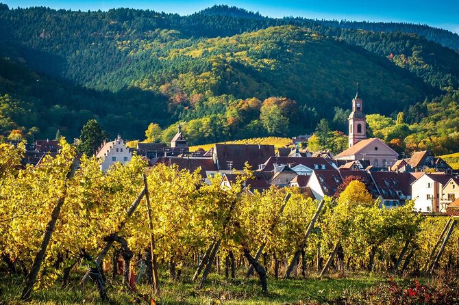 Private Tour: Picturesque Alsatian Villages & Wine Tasting With a Local Expert - Cultural Immersion