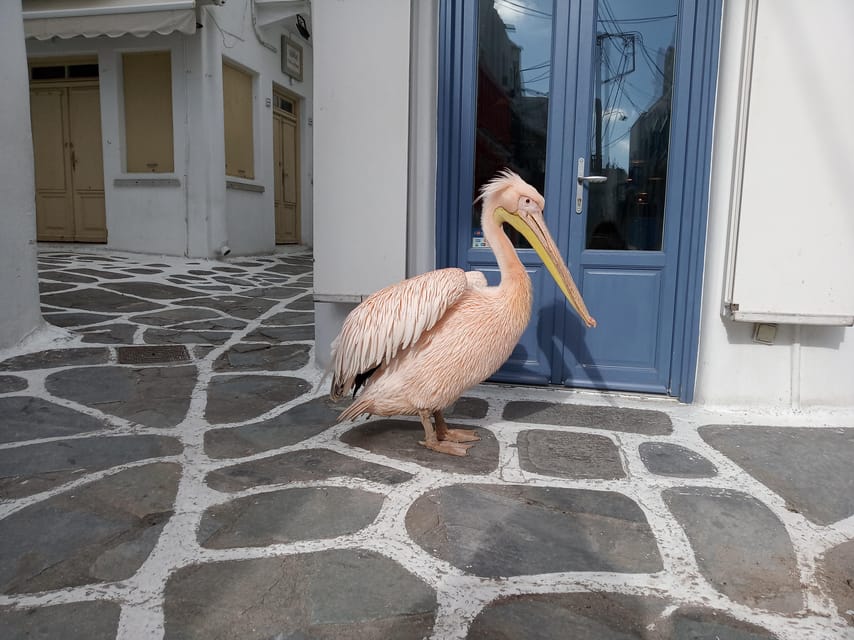 Private Walking Tour in Mykonos Town With a Local Guy - Frequently Asked Questions