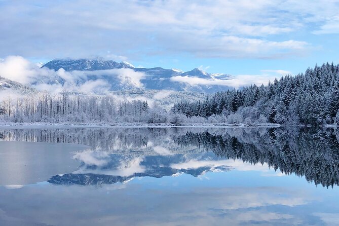 Private Whistler Sightseeing Tour: Discover All of Whistler in Comfort! - Pricing and Group Options