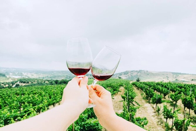 Private Wine Tasting & Lunch @ Lyrarakis Winery - Transfer Inclu - Exploring Central Crete Wineries