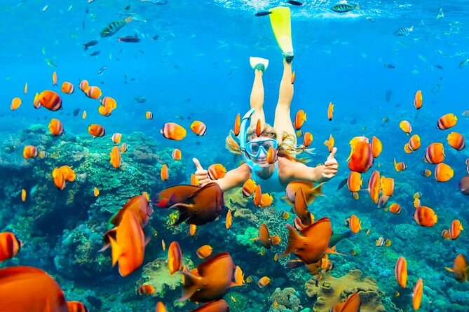 Ras Mohammed Full Day Sea Trip With Lunch by Boat Sharm El-Sheikh - Dining and Refreshments