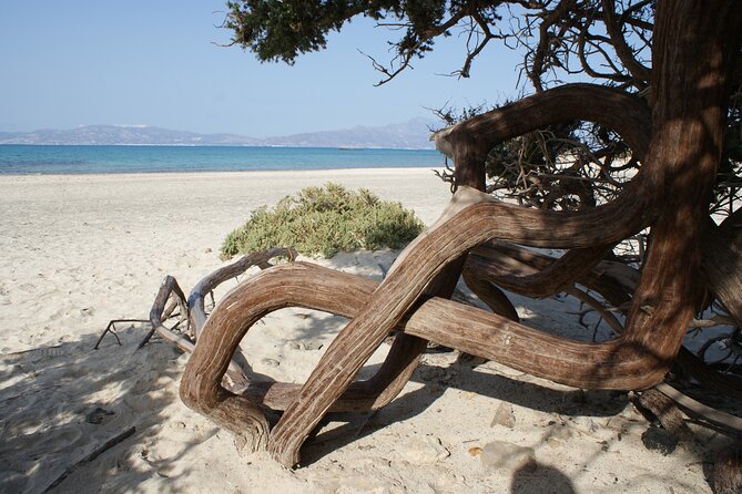 Relax in Nature - Chrissi Island Day Cruise - Additional Tour Details and Information