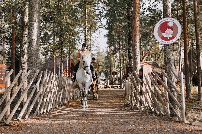 Riding Tour With Finnhorses at Santa Claus Village - Preparing for the Riding Adventure