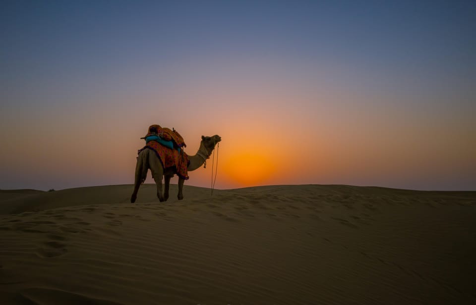 Royal Romantic Luxrious Overnight Thar Desert Camping Tour - Important Considerations