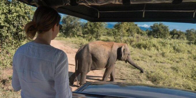Safari Adventure:Udawalawe National Park Half-Day Expedition - Cancellation Policy
