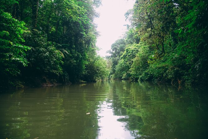 Safari Float Sarapiqui River From San Jose - Positive Guest Feedback