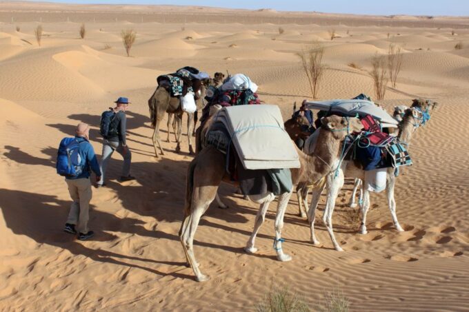 Sahara Desert: 2-Day Tour With Food and a Night in a Tent - Tour Duration and Languages