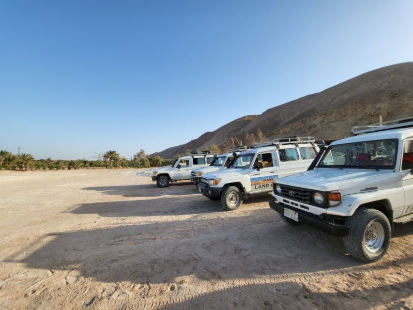 Sahl Hasheesh: Desert Stargazing by Jeep With BBQ Dinner - Booking Information