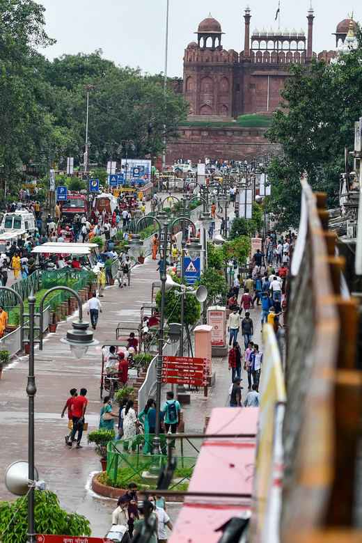 Sam Day Historical Old Delhi Tour - Tour Languages