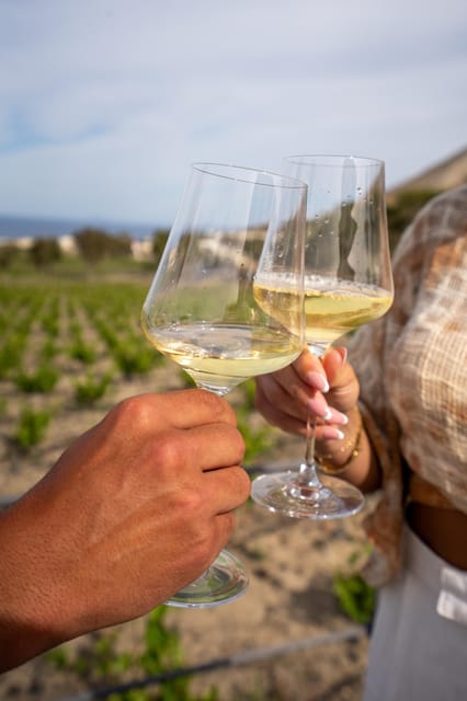 Santorini: Wine O Clock - Wine Tasting Private Tour - Frequently Asked Questions