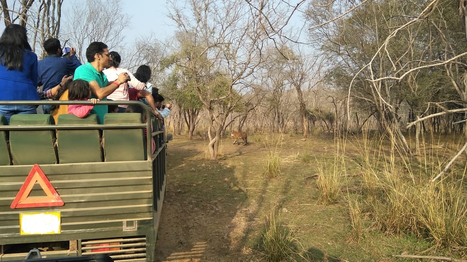 Sawai Madhopur: Ranthambore National Park Safari - Frequently Asked Questions