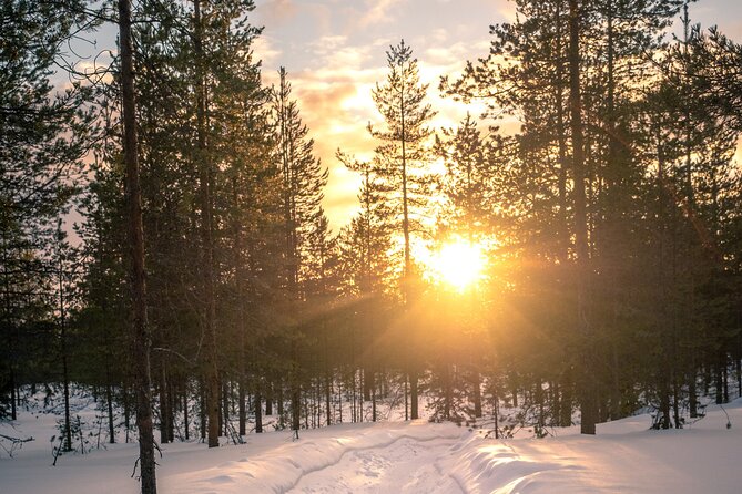 Scenic Electric Fat Bike Group Ride in Rovaniemi - Suitable for All Skill Levels