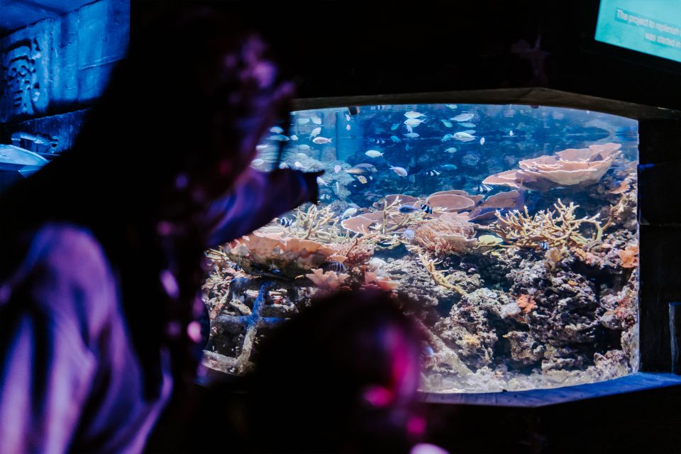 Sea Life Weymouth Admission Ticket - Customer Reviews and Ratings