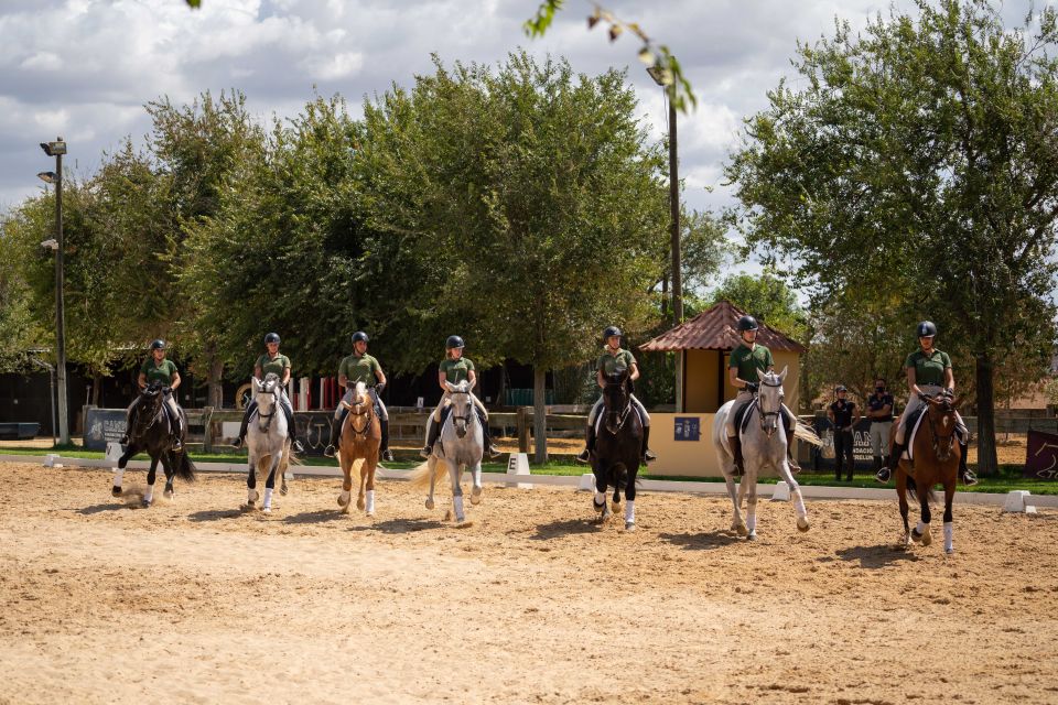 Seville: Horse Show Entry Ticket. Optional Stud Farm Visit - Optional Motivational Visit