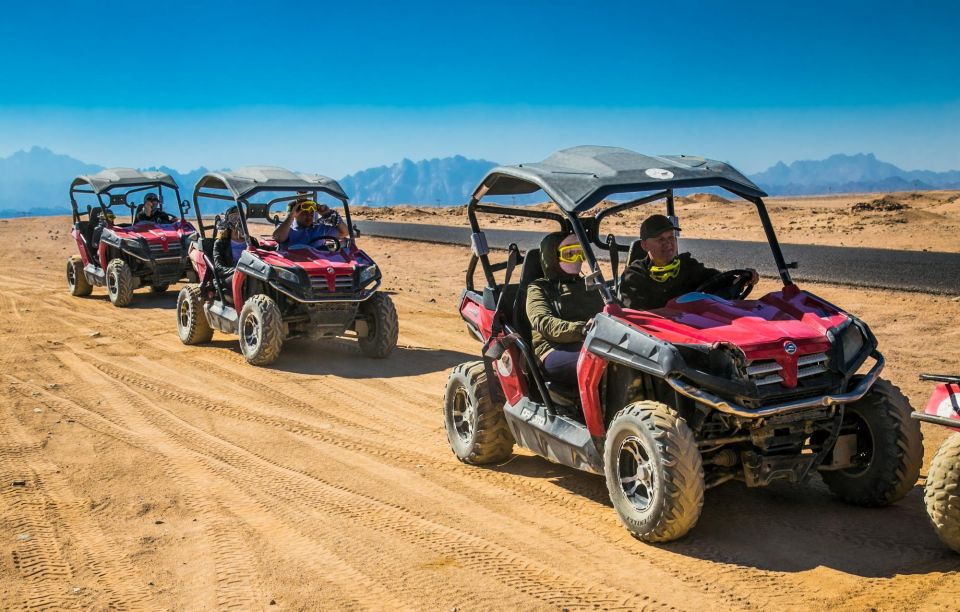 Sharm El Sheikh: Dune Buggy and Horse/Camel Trip With Meal - Tips for Participants