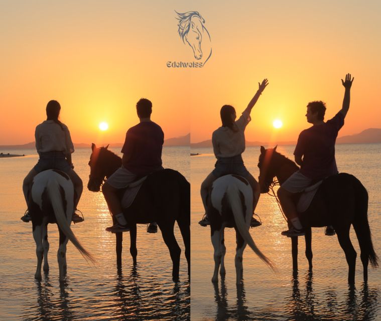 Sharm El Shiekh: Beach and Desert Horse Riding Tour - Unique Features of Sharm El Sheikh